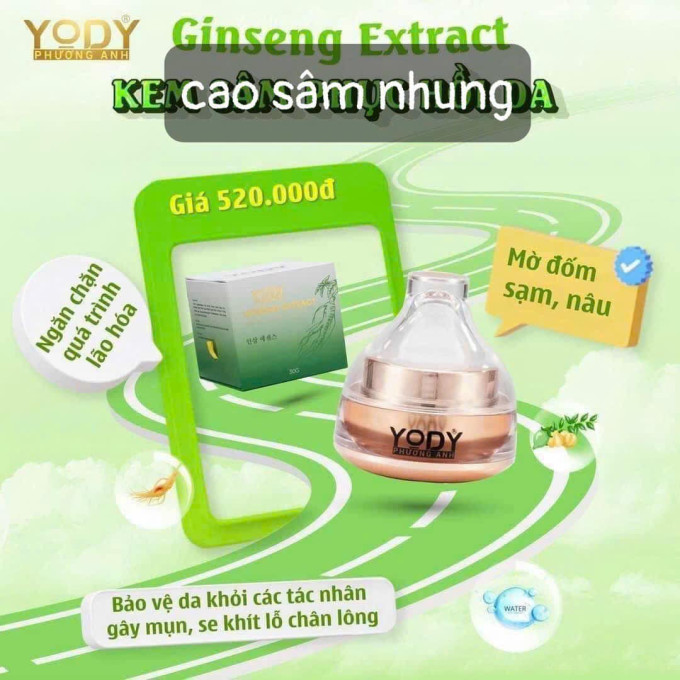 Cao Sâm Nhung Phương Anh (Yody White)