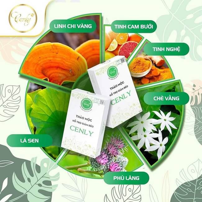 Thành phần giảm cân cenly