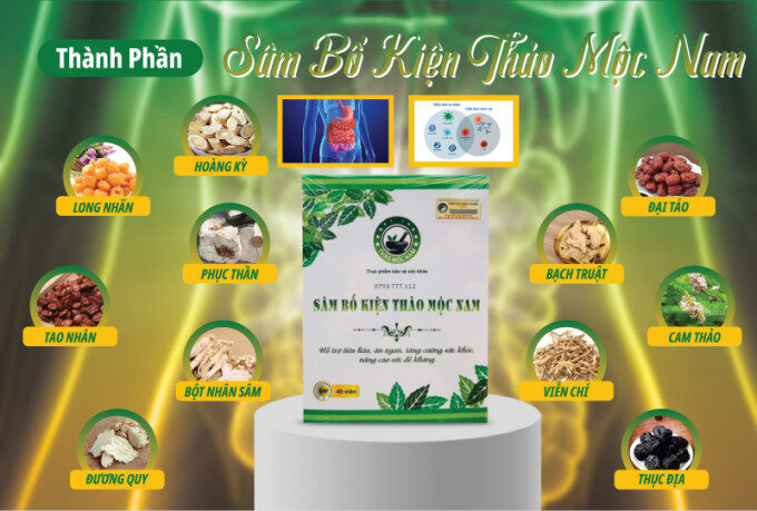 Thành phần chính của Sâm Bổ Kiện Thảo Mộc Nam