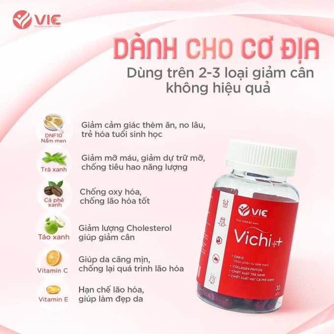 Thành phần vichi