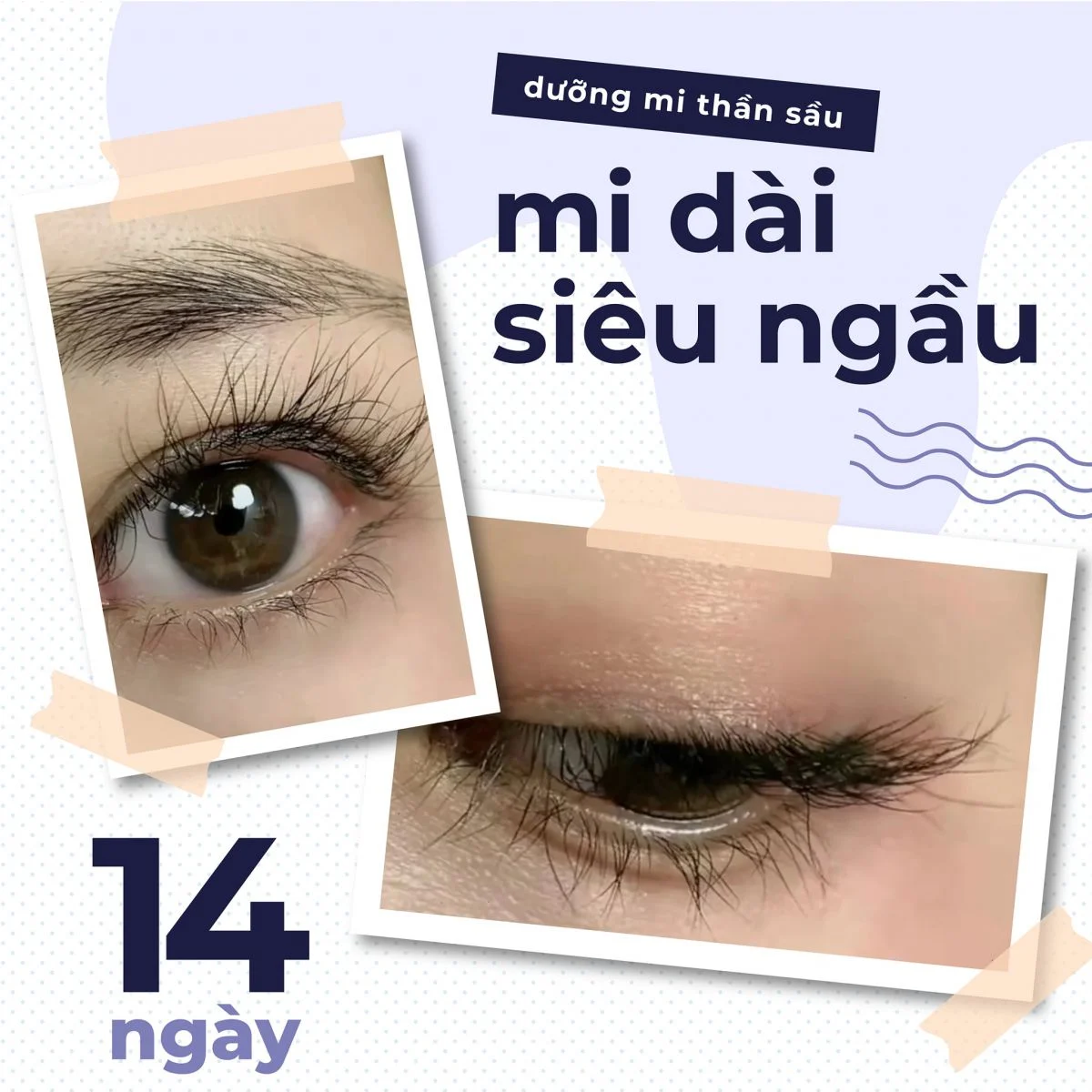 Serum Dưỡng Mi FEG MAX Phiên Bản Mới