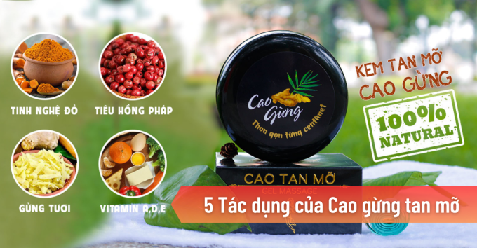 Thành phần của Cao Gừng Tan Mỡ