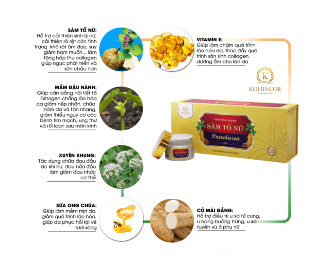 SÂM TỐ NỮ CÓ NHỮNG THÀNH PHẦN NÀO
