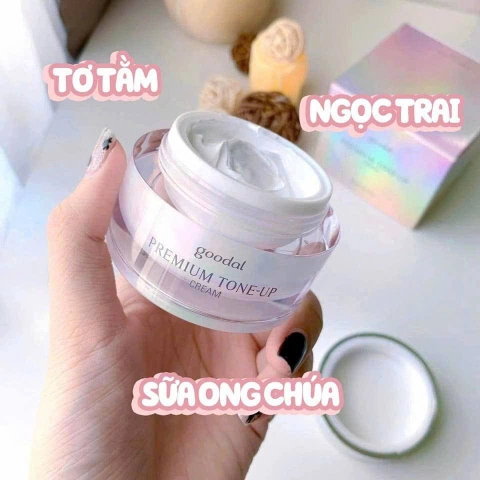 Thành Phần Nổi Bật